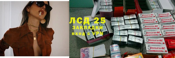 мдпв Каменногорск