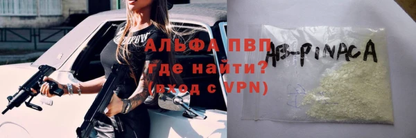 мдпв Каменногорск