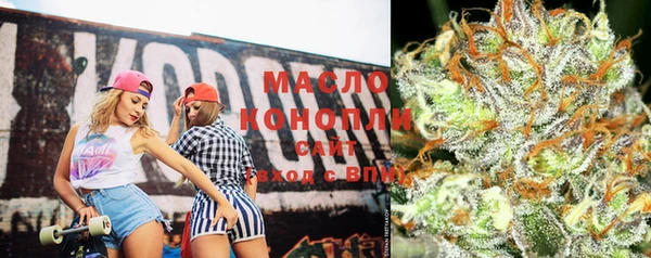 мдпв Каменногорск