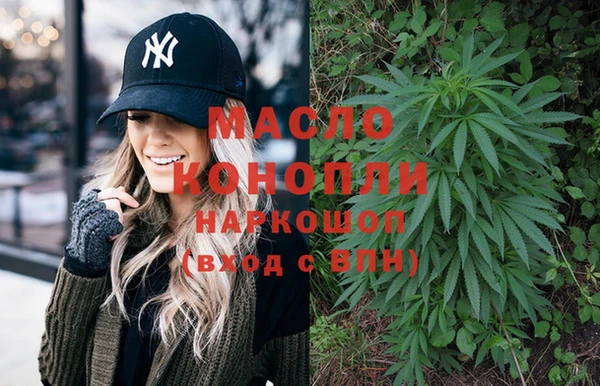 мдпв Каменногорск