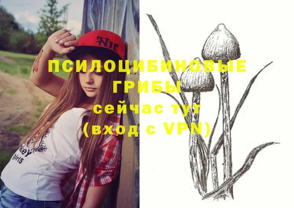 мдпв Каменногорск
