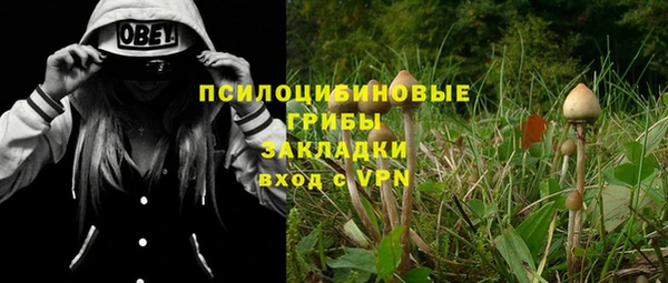мдпв Каменногорск