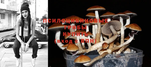 jwh Каменка