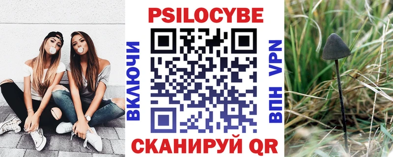 Галлюциногенные грибы Magic Shrooms  Купить закладки  Порхов 